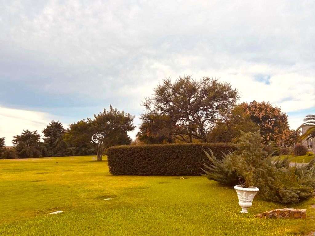 Cementerio parque