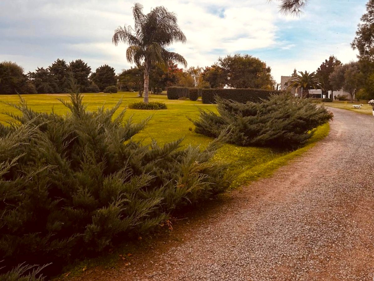 Cementerio parque con senderos